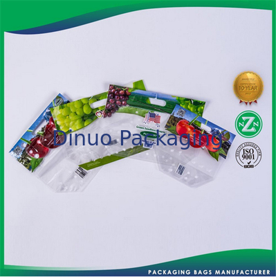 Yiyecek / Giysiler / Bakkal için Geri Dönüşümlü Plastik Özel Baskılı Ambalaj Torbaları